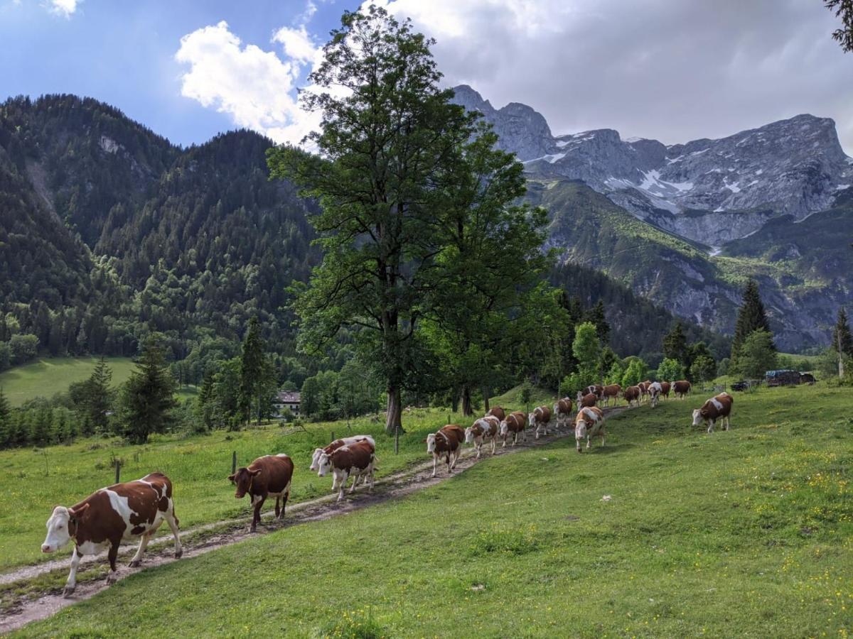 Отель Bio Bauernhof Vorderoberlehen Верфенвенг Экстерьер фото
