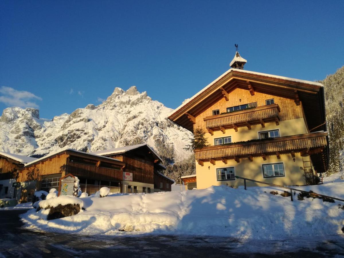 Отель Bio Bauernhof Vorderoberlehen Верфенвенг Экстерьер фото