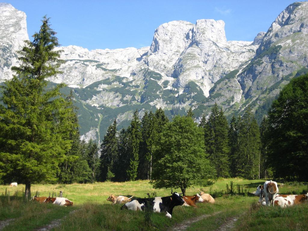 Отель Bio Bauernhof Vorderoberlehen Верфенвенг Экстерьер фото