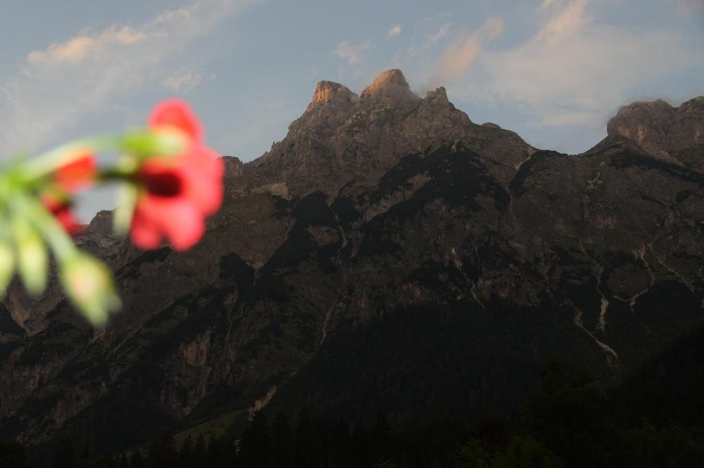 Отель Bio Bauernhof Vorderoberlehen Верфенвенг Экстерьер фото