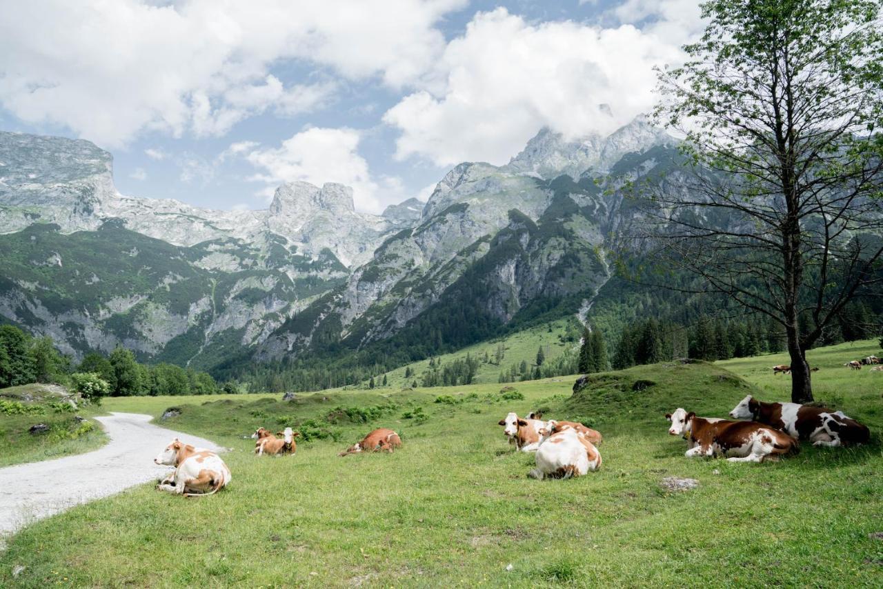 Отель Bio Bauernhof Vorderoberlehen Верфенвенг Экстерьер фото