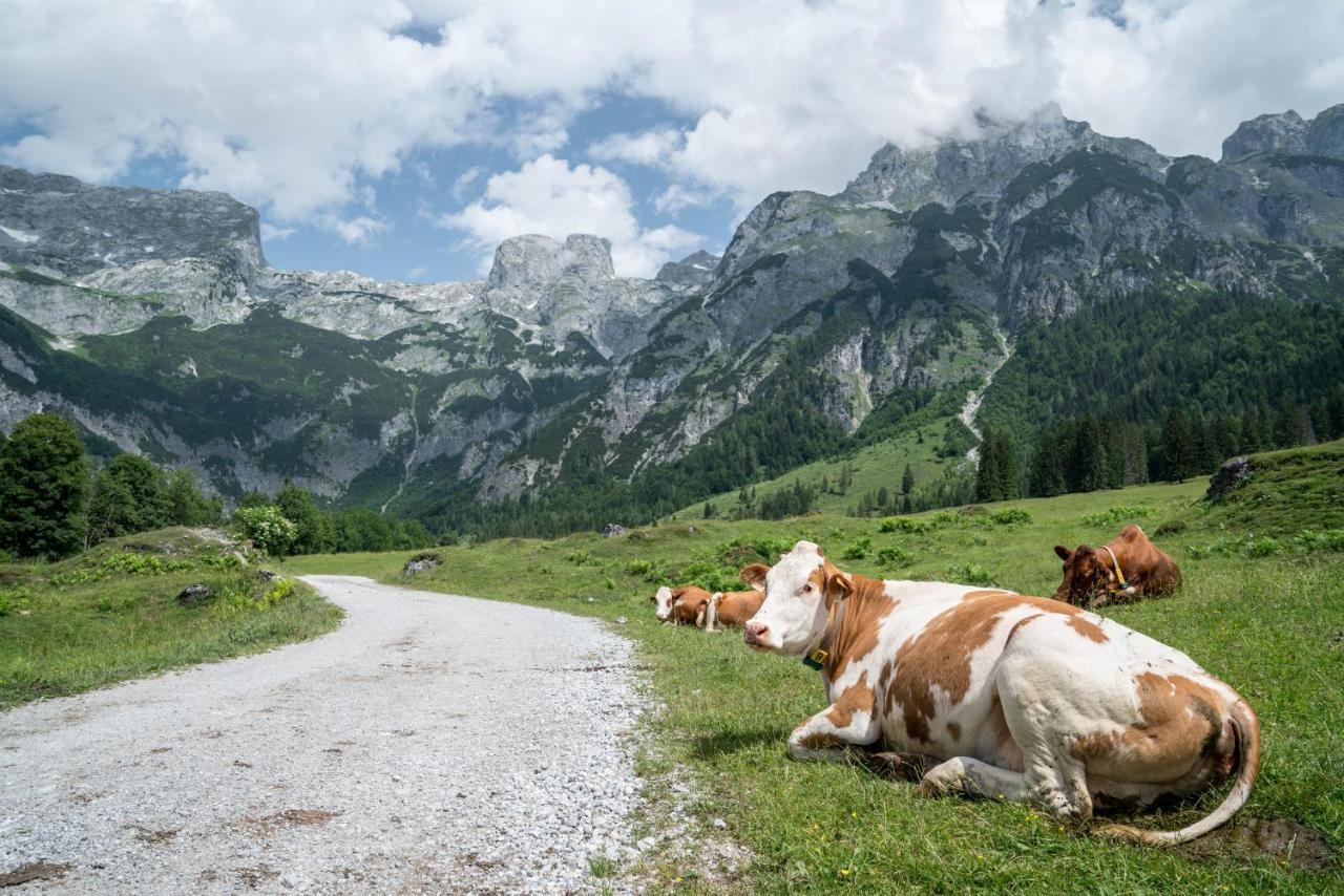 Отель Bio Bauernhof Vorderoberlehen Верфенвенг Экстерьер фото